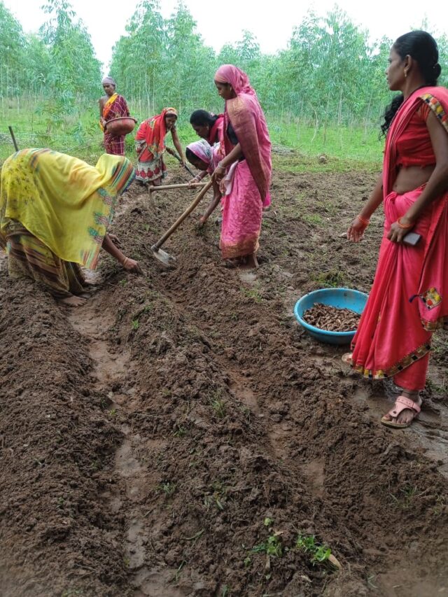 1721923421_650b07b54a3ade522380