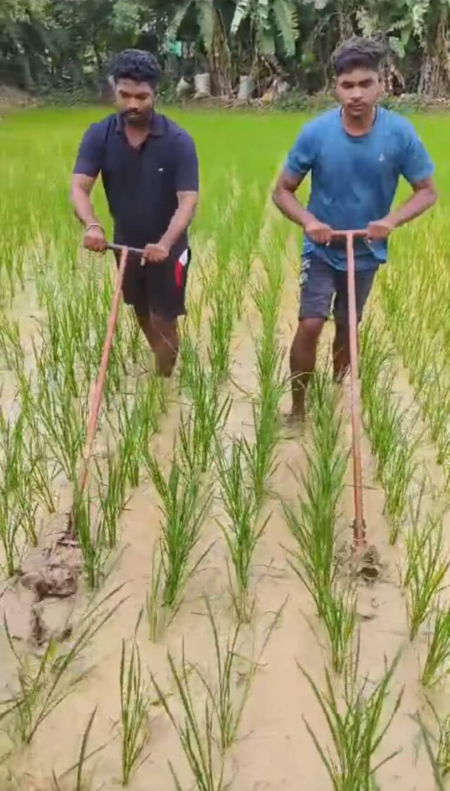 1722250200_d8307bef25b1b2712fda