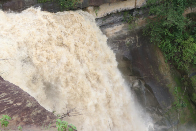 1723192920_3dc1e1b587f6b66c7b63