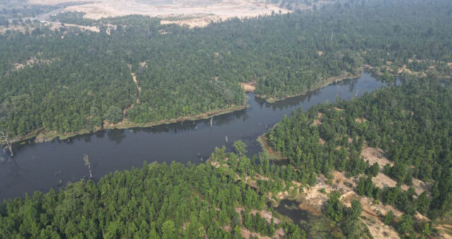 1735659733_c45ccaf5e11149d7b97b