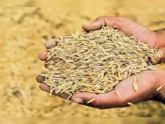 छत्तीसगढ़ में धान खरीदी का सिलसिला अनवरत रूप से जारी