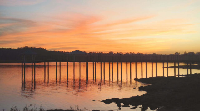 1737125534_0f7b9ac8ca55fe1d4853