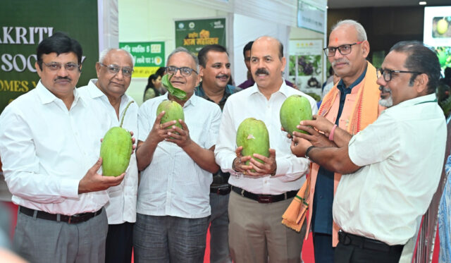 1749222933_653d330d1f707e9ba25b