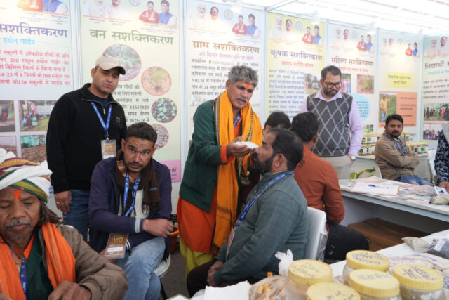 1766053217_c14a706106d1f7b5729a