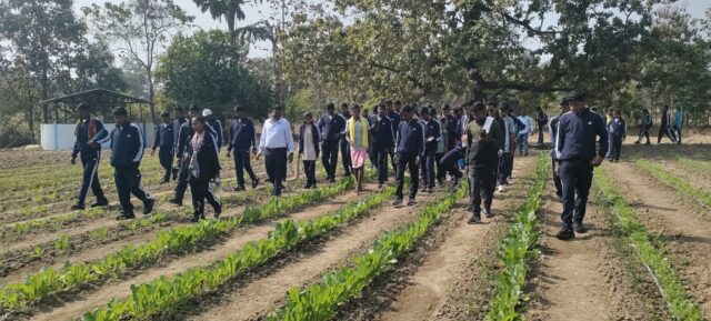 1767446348_ea422bf5c1dc67fc9532