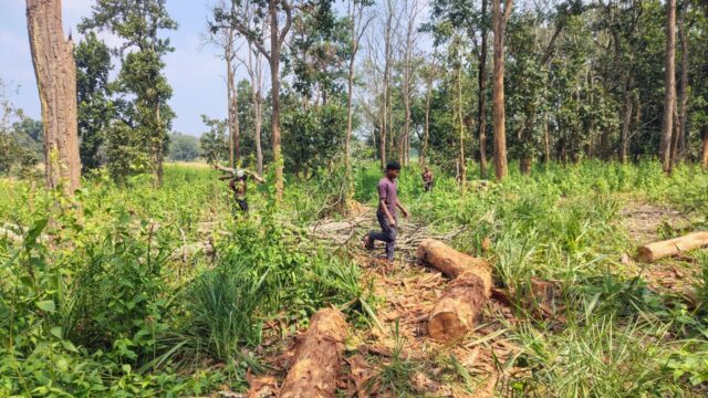 1767798550_a98de953e1d54e036ea6