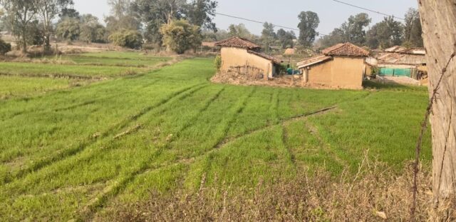 9a439fea-1379-4f19-8d36-5dcafb677cab