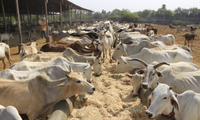 Screenshot 2026-03-13 222619