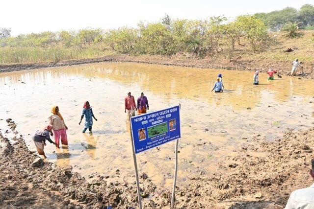 WhatsApp Image 2026-03-07 at 11.58.56 AM