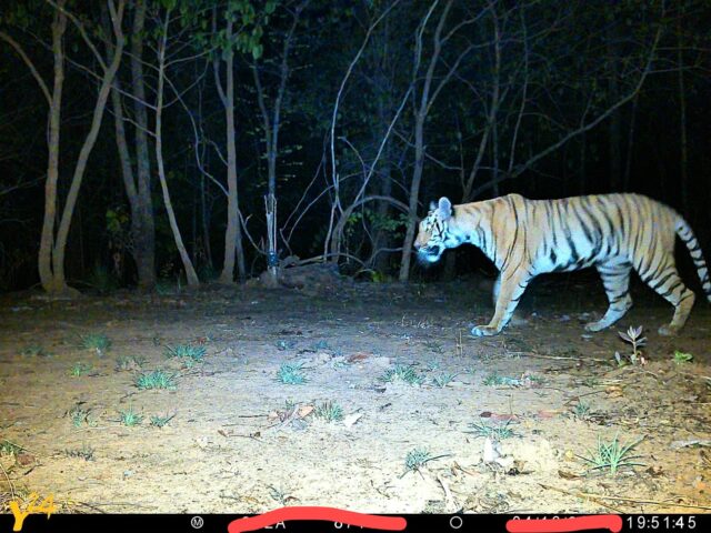 WhatsApp Image 2026-06-22 at 5.00.18 PM