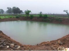 Cg News : 47 आजीविका डबरियां किसानों के लिए बनेंगी संबल, जल संरक्षण के साथ बढ़ेगी आय