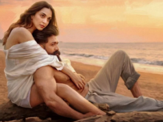 Bollywood : शानदार एक्शन और यश का स्टारडम बेअसर, कहानी ने किया निराश