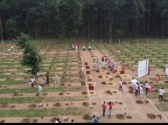 Cg News : हरियाली के साथ ग्रामीणों को रोजगार की नई राह दे रहा विकसित भारत – जीरामजी